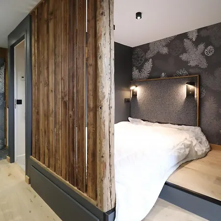 Renove Et Cosy Avec Wifi Et Animaux Admis Proche Centre - Fr-1-836-21 Les Carroz d'Araches